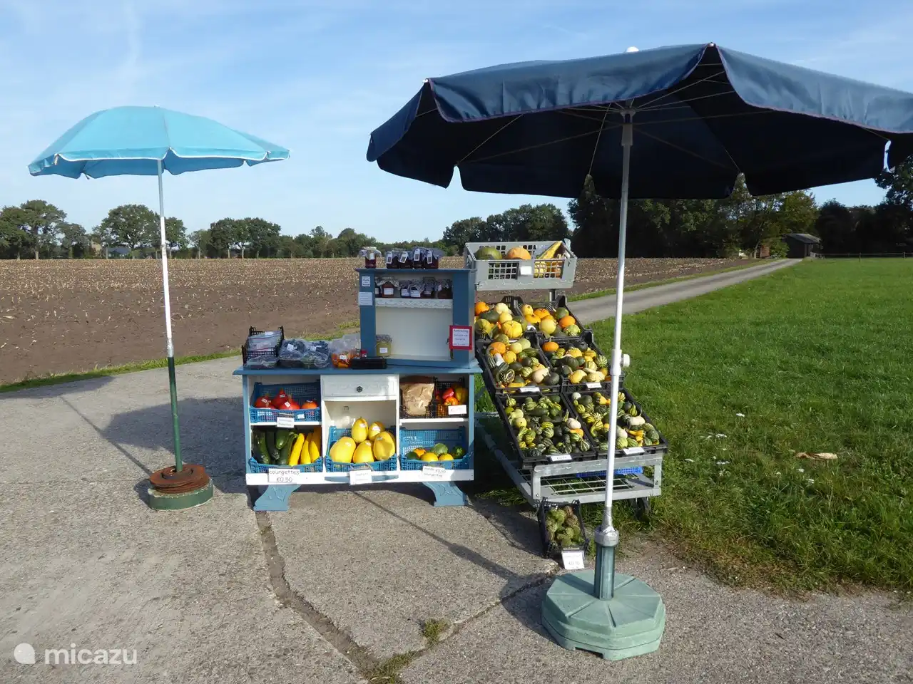 Puesto de agricultores con frutas y verduras en Jolinkdijk, cruzando Halseweg cerca de Bos en Enk