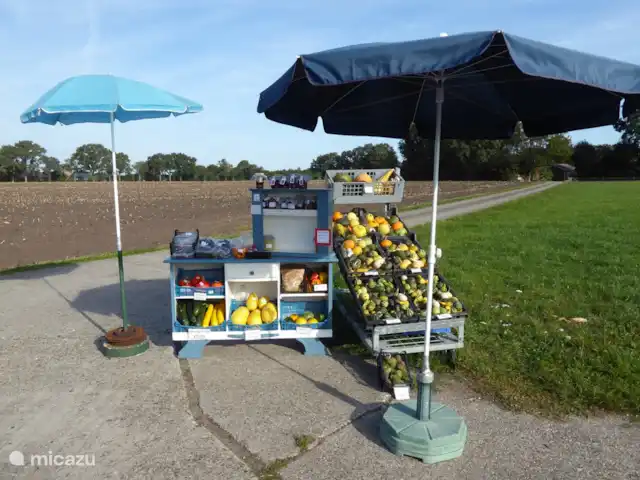 casa vacacional en Países Bajos, Güeldres, Halle – casa de vacaciones en el verde Puesto de agricultores con frutas y verduras en Jolinkdijk, cruzando Halseweg cerca de Bos en Enk