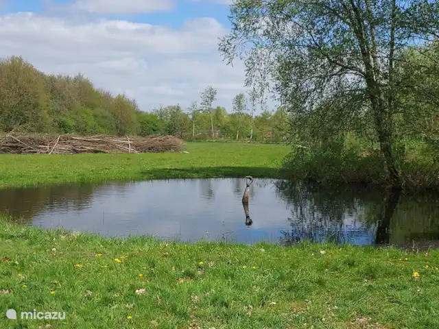 casa vacacional en Países Bajos, Güeldres, Halle – casa de vacaciones en el verde www.boelekeerlspad.nl
