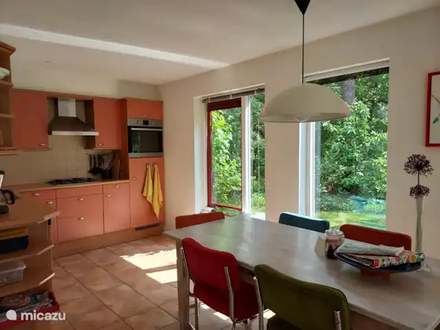 casa vacacional en Países Bajos, Güeldres, Halle – casa de vacaciones en el verde cocina abierta con vista al jardín/bosque