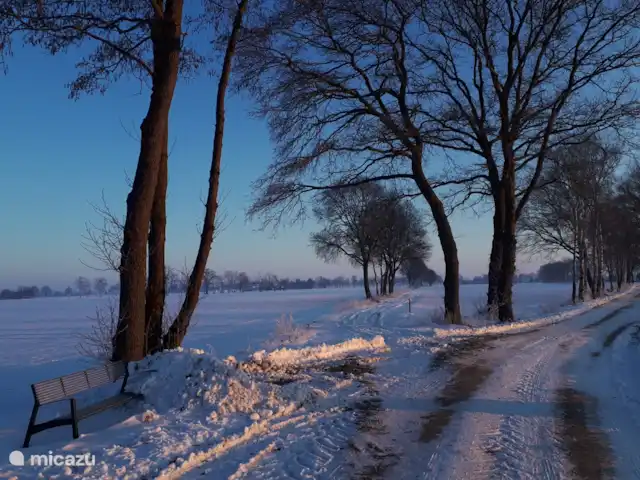 casa vacacional en Países Bajos, Güeldres, Halle – casa de vacaciones en el verde La zona también es preciosa en invierno con nieve.