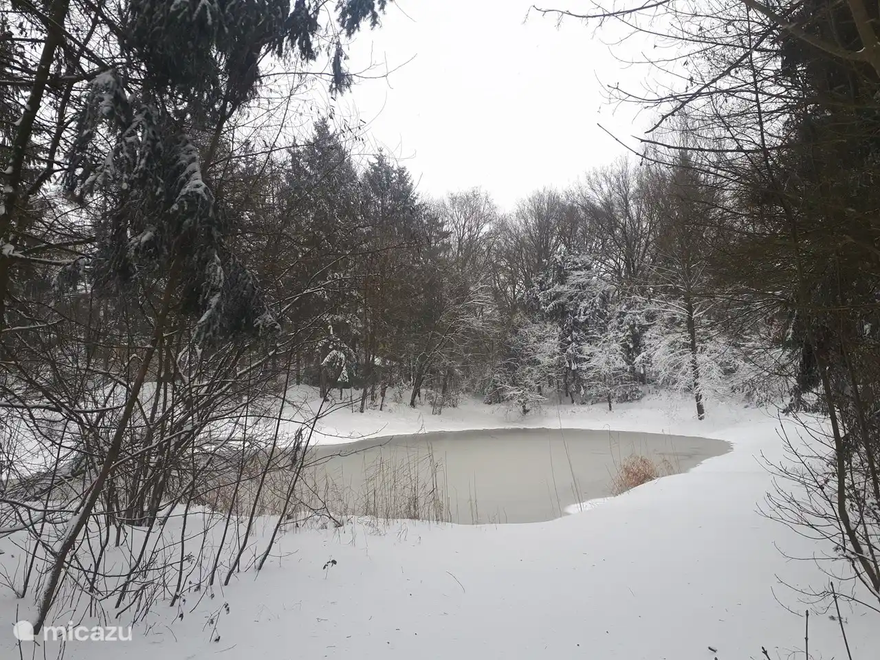 hermoso estanque en la finca, escondido detrás de algunas villas en el otro lado de nuestra villa.