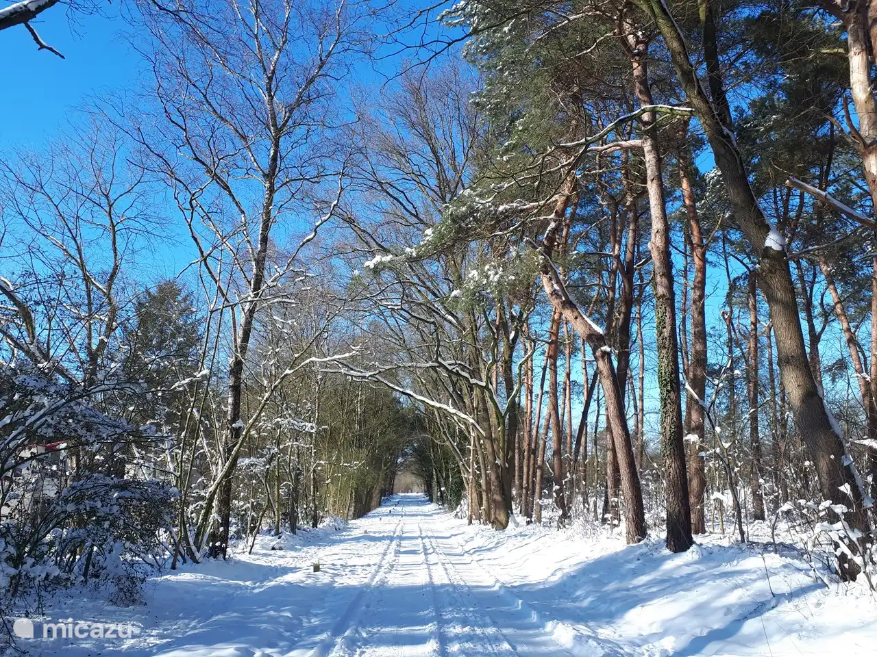 nuestro 'declive', o el camino de arena detrás del parque, el Aaltenseweg,