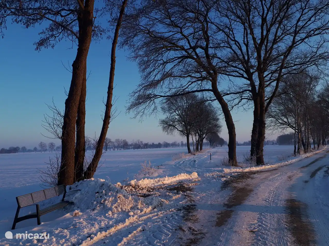 Precioso en la nieve