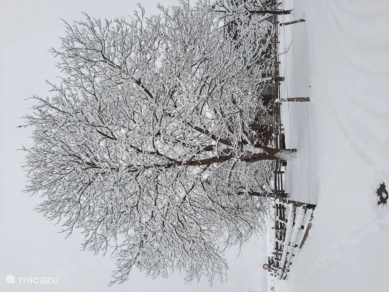 También perfecto para comenzar un agradable paseo desde la casa 