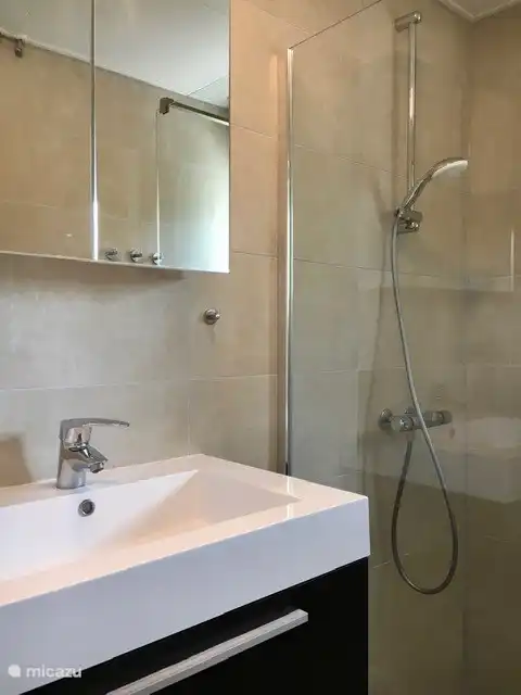 Douche à l'italienne