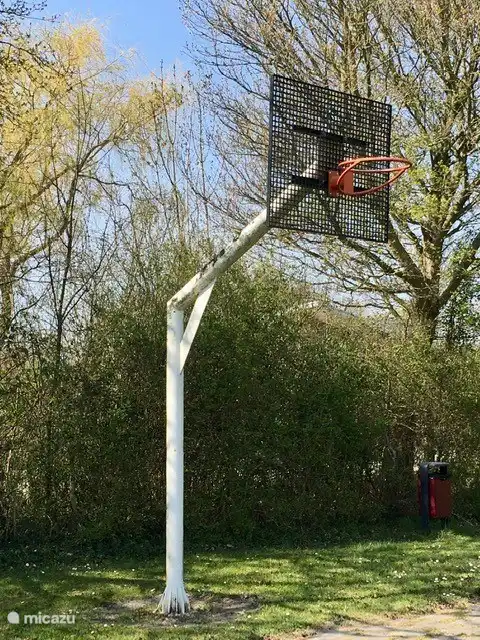 Basket-ball 