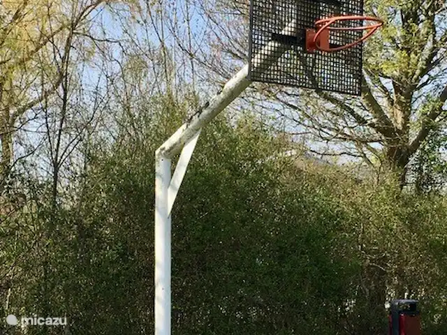 Bungalow Zélande | Pays-Bas, Zélande, Kamperland - maison de vacances Basket-ball