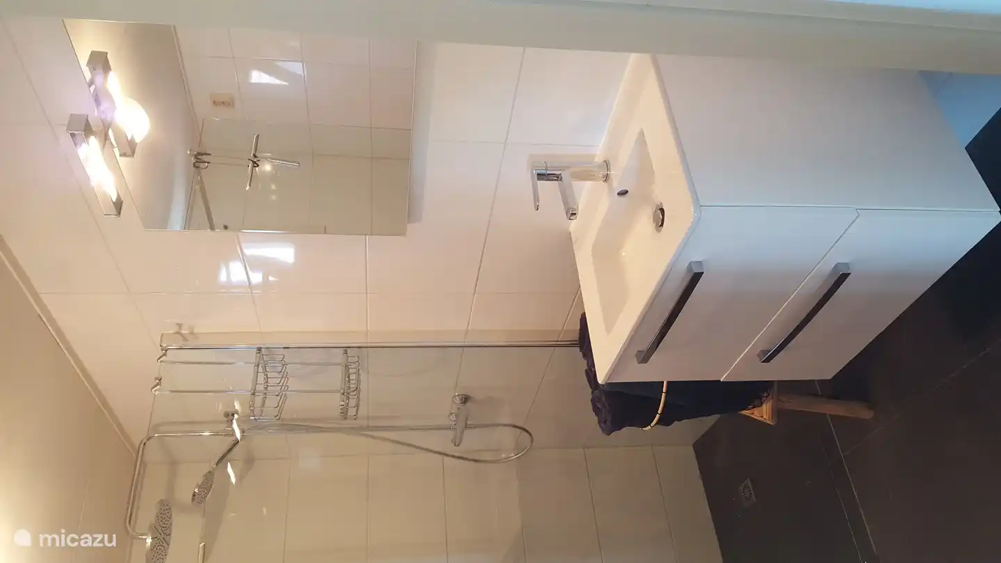 Das Badezimmer im Erdgeschoss mit ebenerdiger Dusche, Toilette und Waschbecken