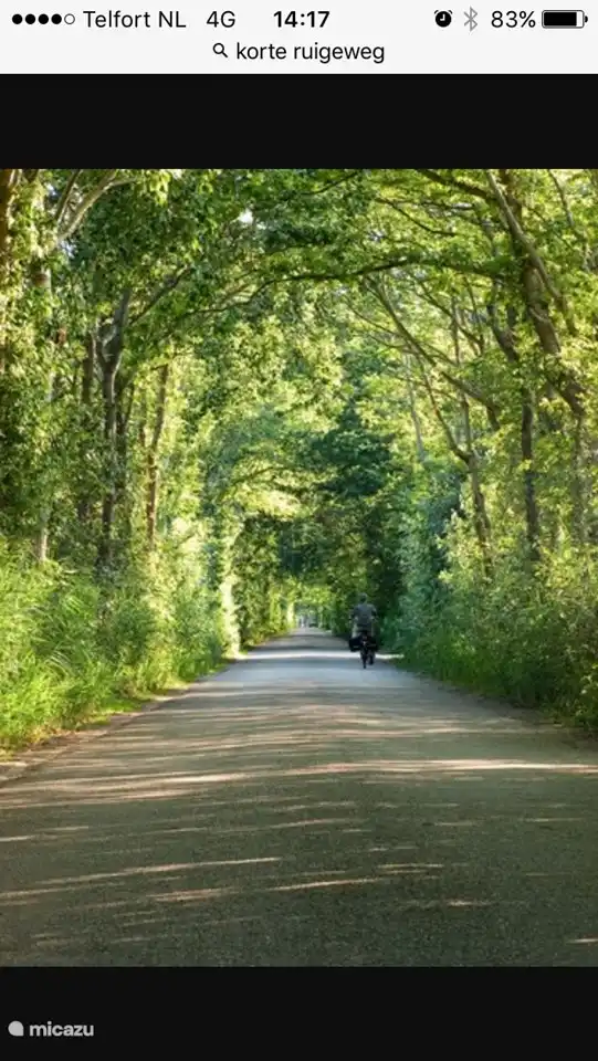 Die romantische Zufahrtsstraße nach Oudesluis