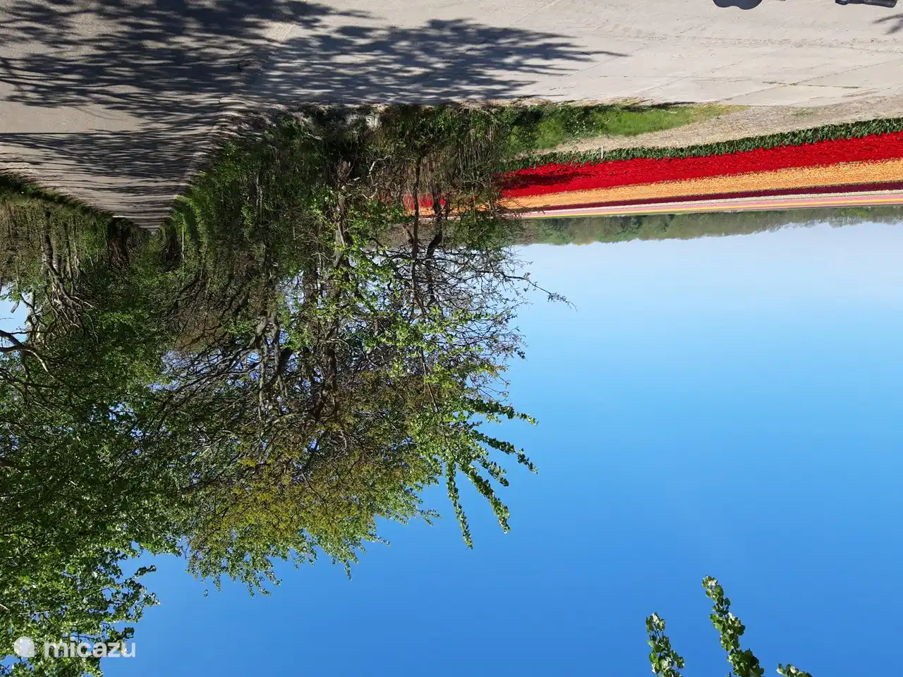 Auch die holprige Straße, ein schöner Kilometer Blumen und Natur.