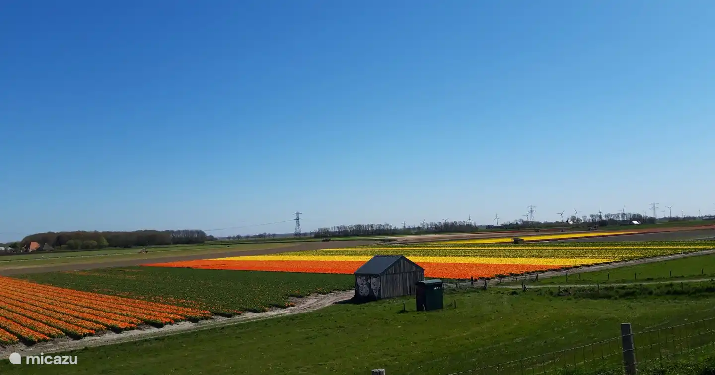 Auf dem noorschinkeldijk.