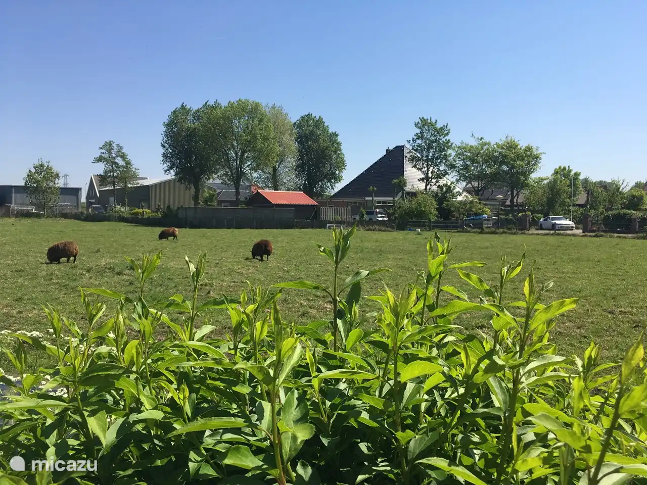 Der Blick von hinten