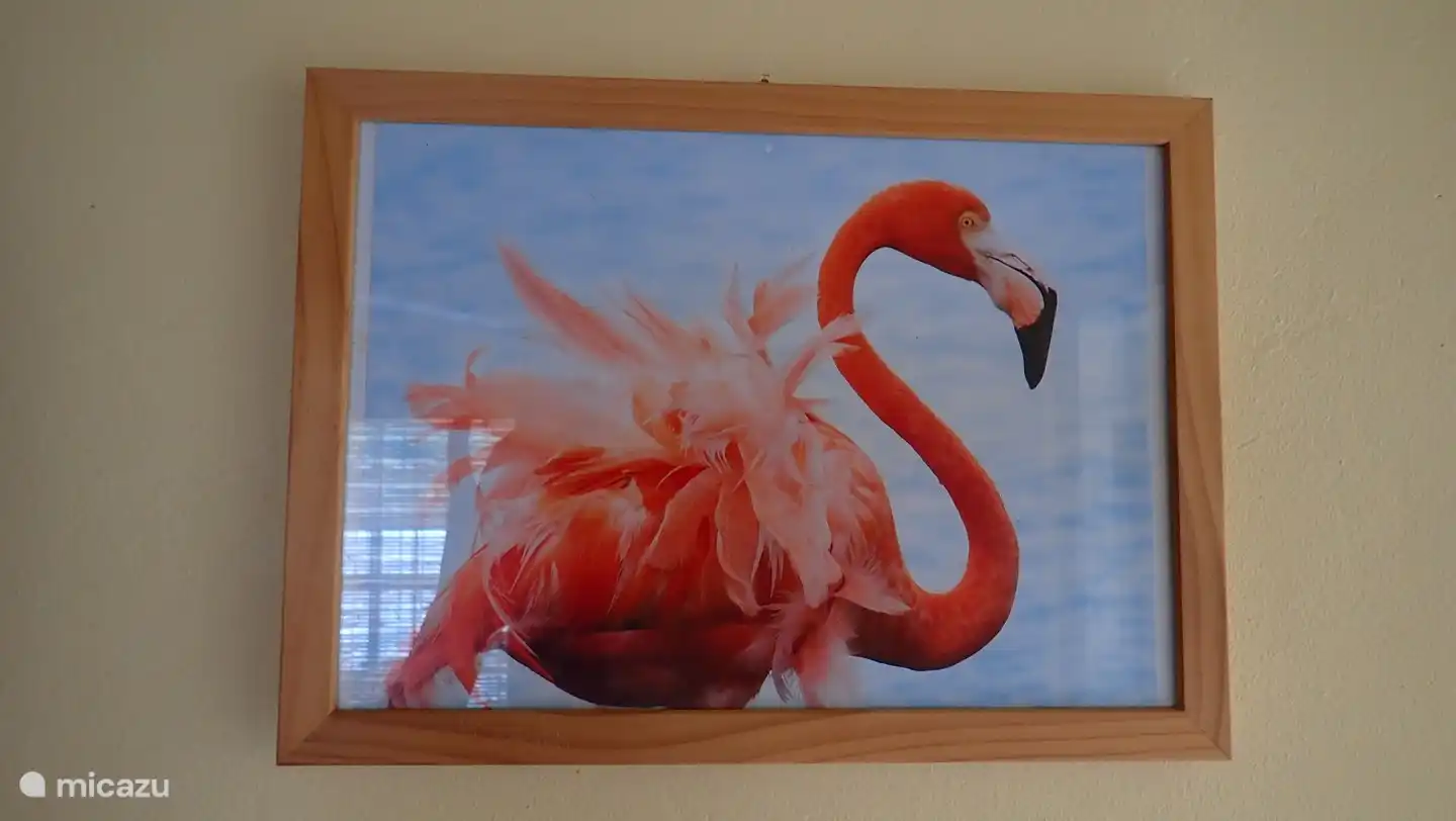 Les photos de la maison sont du célèbre photographe Aja Radl