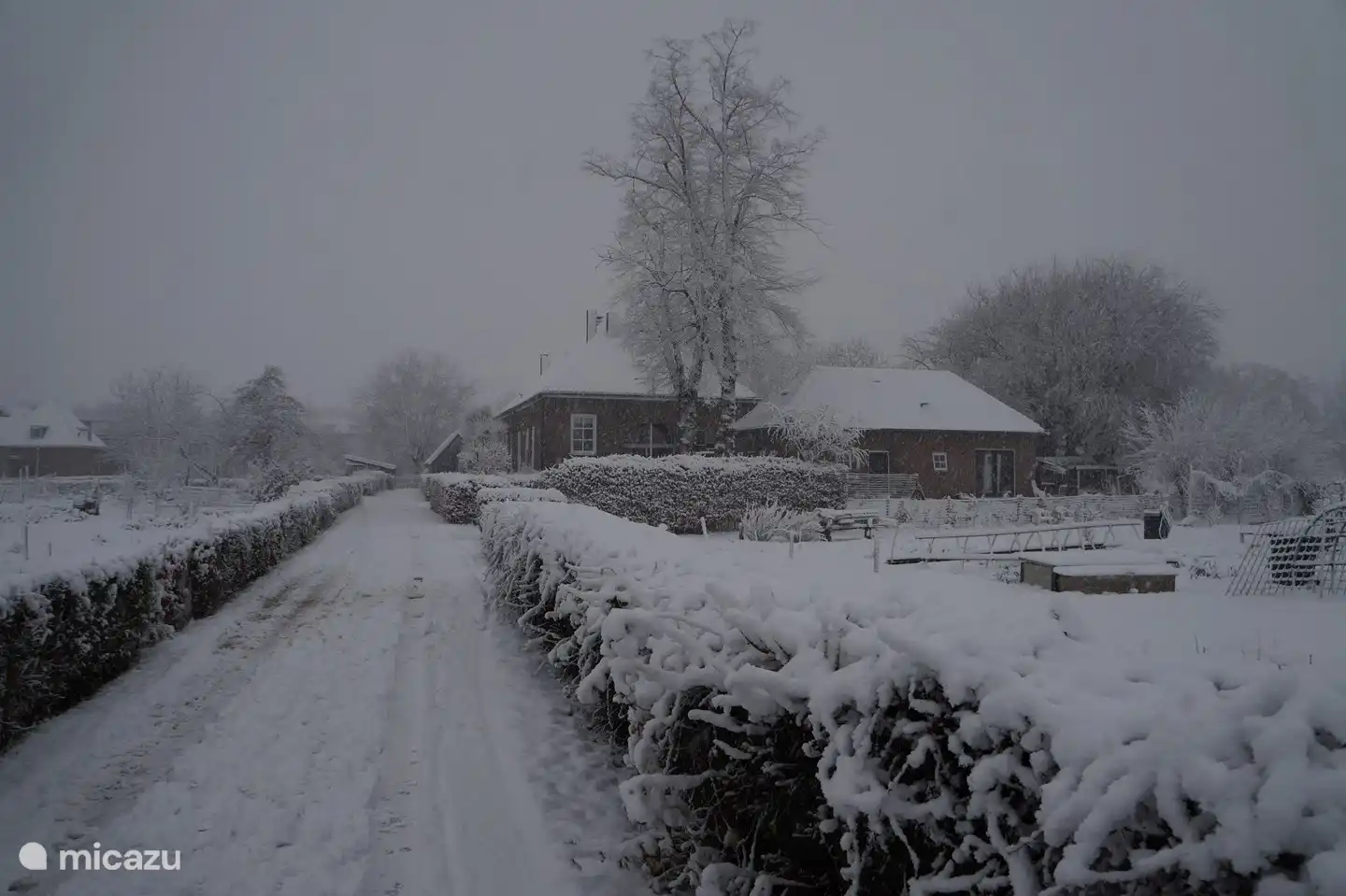 Winterfotoeinfahrt und Richtershuis mit Ferienhaus.
