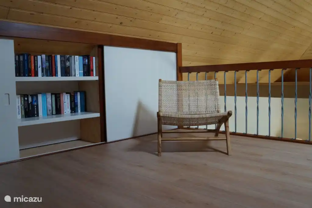 Sitzecke auf Video mit kleiner Bibliothek.