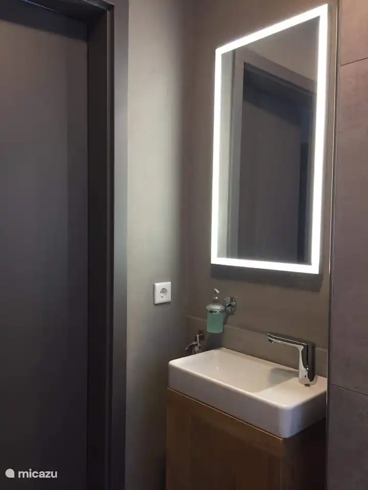 el lavabo del inodoro