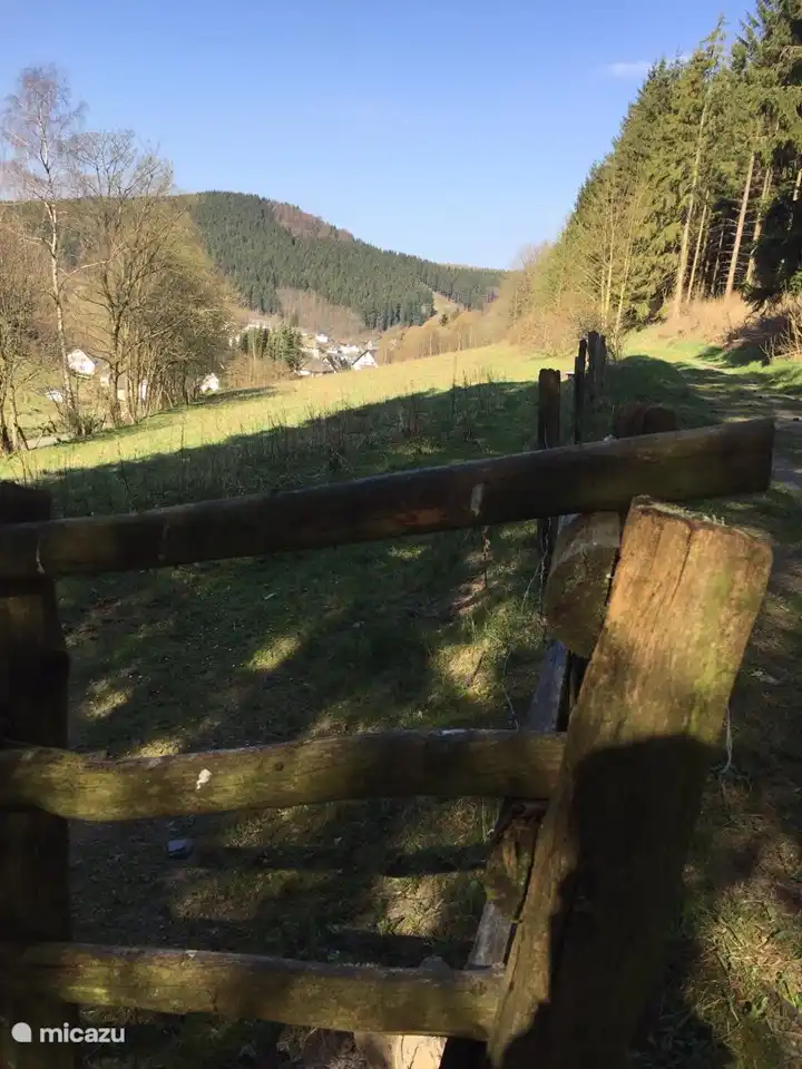 &#225;rea inmediata detr&#225;s de la casa.