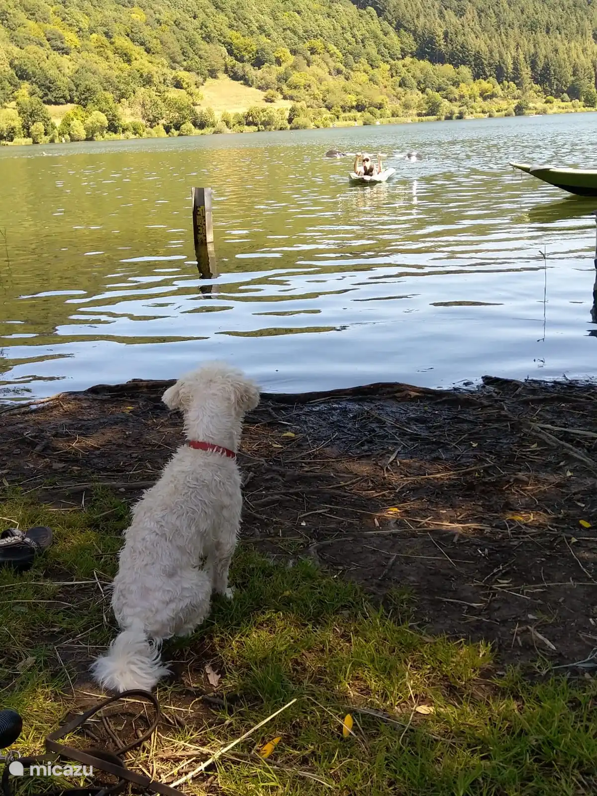 Vulkansee bei Eisenschmitt