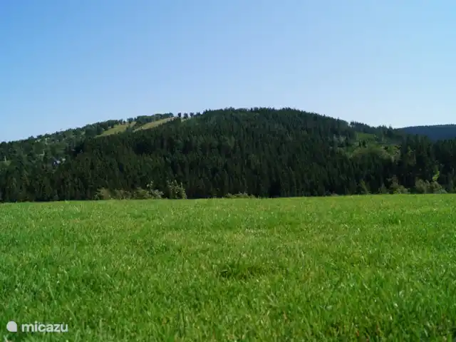 Location de Vacances Allemagne, Sauerland, Willingen, appartement - Appartement Kohlerhagen Vue d'Ettelsberg