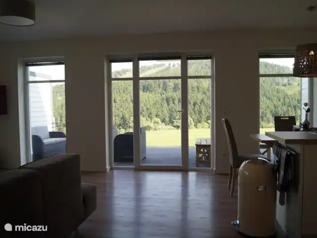 Location de Vacances Allemagne, Sauerland, Willingen, appartement - Appartement Kohlerhagen Salon à l'arrière-cour