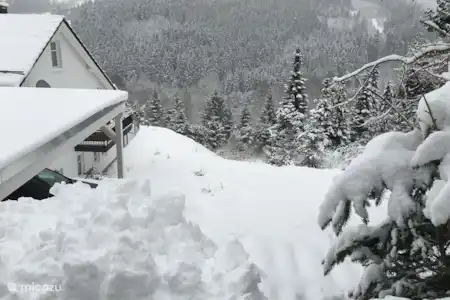 Vakantiehuis Duitsland, Sauerland, Willingen appartement Appartement Köhlerhagen