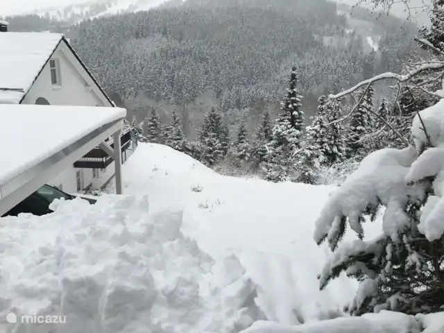 Location de Vacances Allemagne, Sauerland, Willingen, appartement - Appartement Kohlerhagen vue de côté