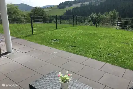 Vakantiehuis Duitsland, Sauerland, Willingen appartement Appartement Ritzhagen