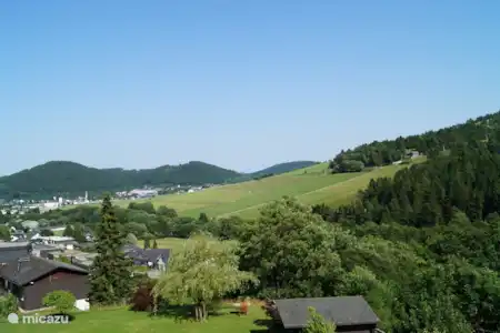 Vakantiehuis Duitsland, Sauerland, Willingen appartement Appartement Ritzhagen