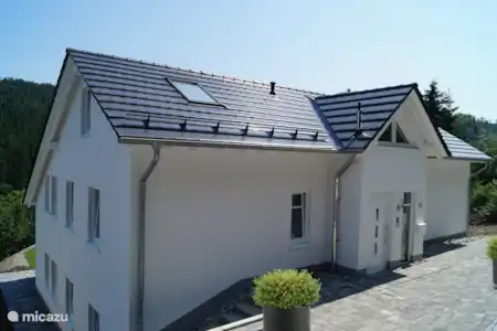 Vakantiehuis Duitsland, Sauerland, Willingen appartement Appartement Ritzhagen