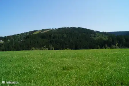 Vakantiehuis Duitsland, Sauerland, Willingen appartement Appartement Ritzhagen