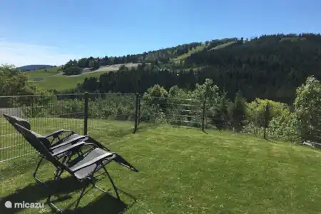 Vakantiehuis Duitsland, Sauerland, Willingen appartement Appartement Ritzhagen