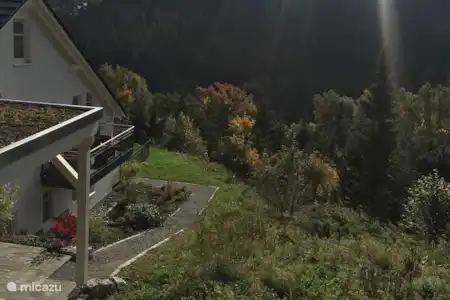 Vakantiehuis Duitsland, Sauerland, Willingen appartement Appartement Ritzhagen