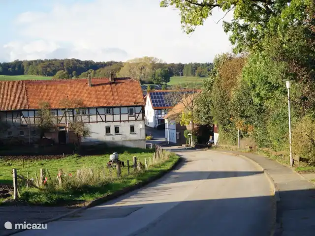 Location de Vacances Allemagne, Sauerland, Diemelsee, bungalow - Bungalow Norvégien Sudeck
