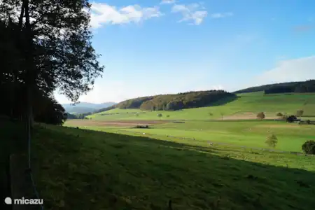 Vakantiehuis Duitsland, Sauerland, Diemelsee bungalow Noorse bungalow