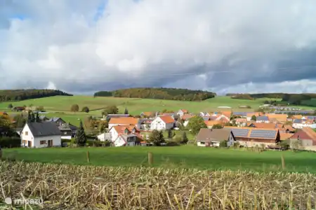 Vakantiehuis Duitsland, Sauerland, Diemelsee landhuis / kasteel Landhuis