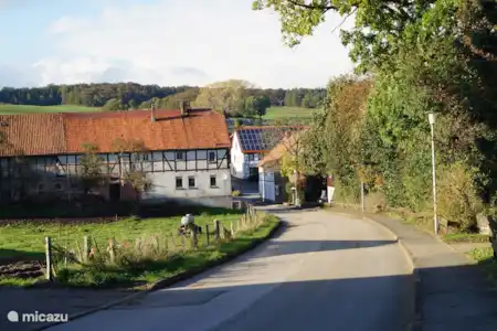 Vakantiehuis Duitsland, Sauerland, Diemelsee landhuis / kasteel Landhuis