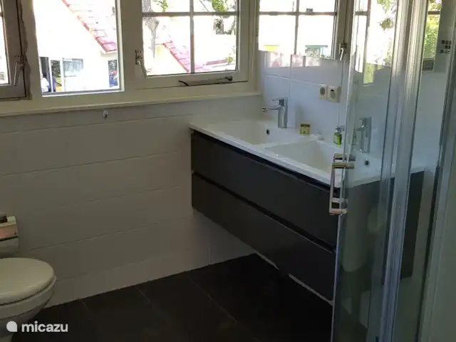 Salland Vakantie huren in Nederland, Overijssel, Heeten - vakantiehuis Ruime badkamer met wandcloset, meubel en douche met lage instap.