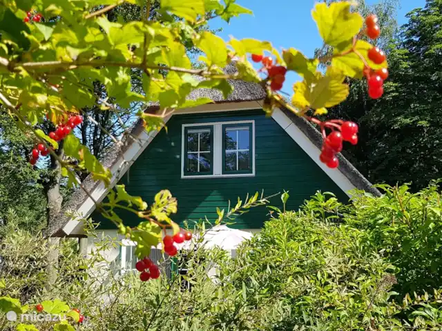 Salland Vakantie huren in Nederland, Overijssel, Heeten - vakantiehuis De tuin heeft voldoende privacy. De woning is zowiso achter in het bungalowpark op een rustige plek gelegen.