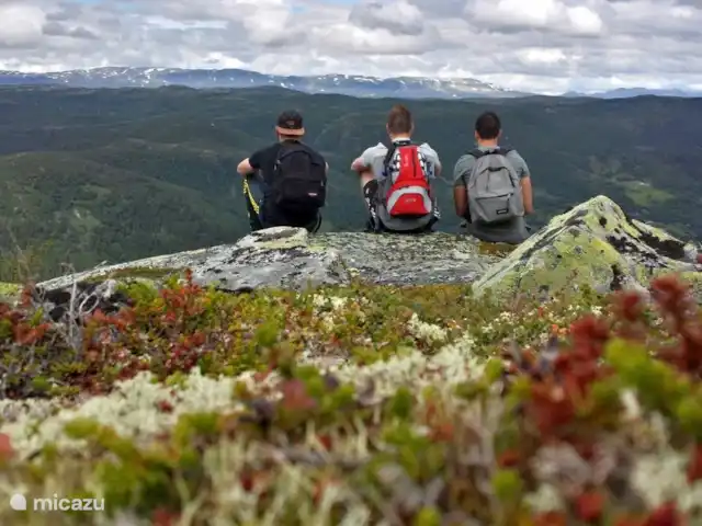 Location de Vacances Norvège, Telemark, Treungen, cabane en bois / lodge - Nisserzicht Belles vues pendant la visite à pied