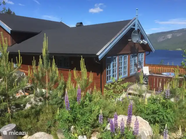 Location de Vacances Norvège, Telemark, Treungen, cabane en bois / lodge - Nisserzicht Location de Vacances Norvège, Telemark, Treungen, cabane en bois / lodge - Nisserzicht