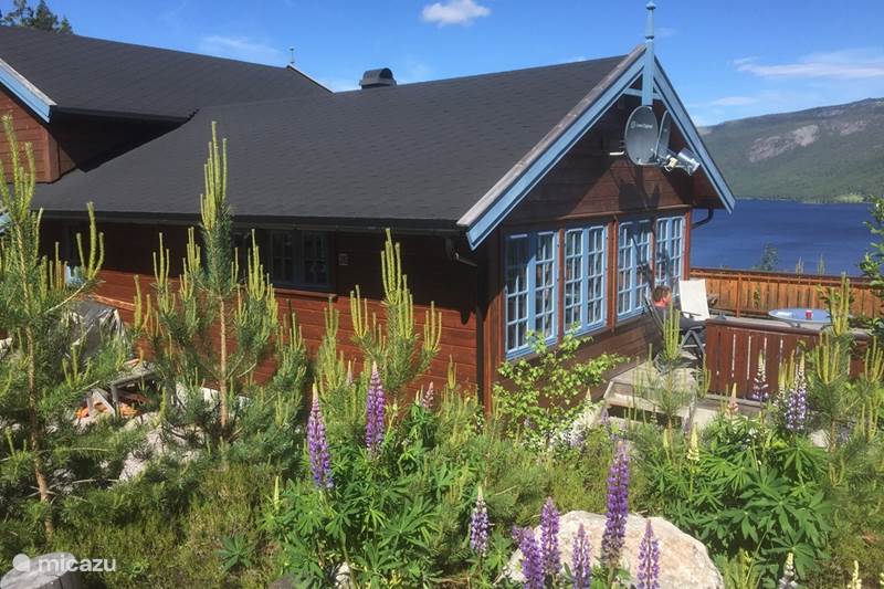 Vakantiehuis Noorwegen, Telemark, Treungen Blokhut / Lodge Nisserzicht