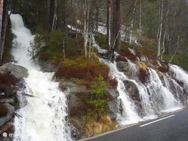Location de Vacances Norvège, Telemark, Treungen, cabane en bois / lodge - Nisserzicht Chutes d'eau le long de la route près de notre maison