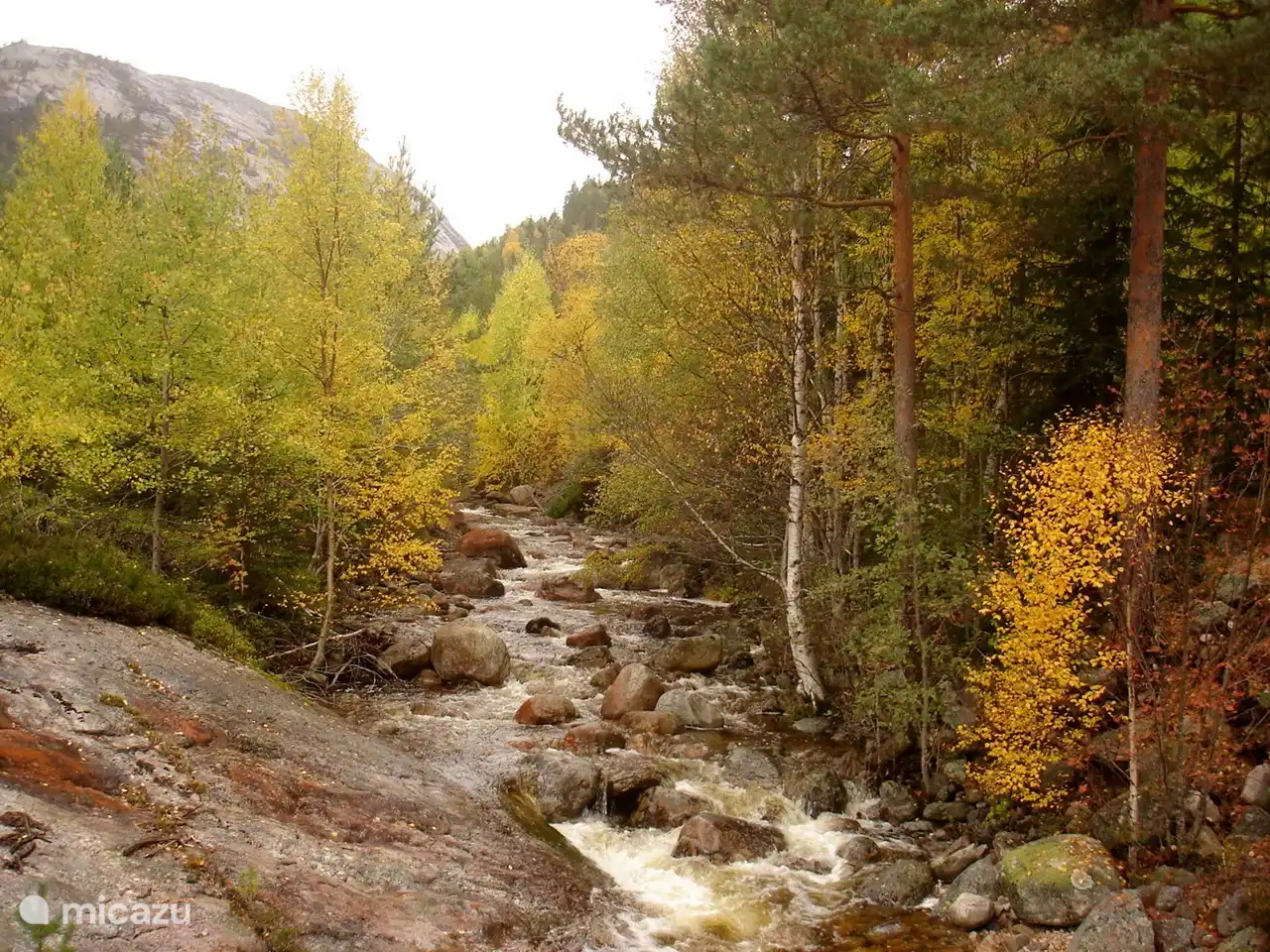 Schöne Herbstfarben