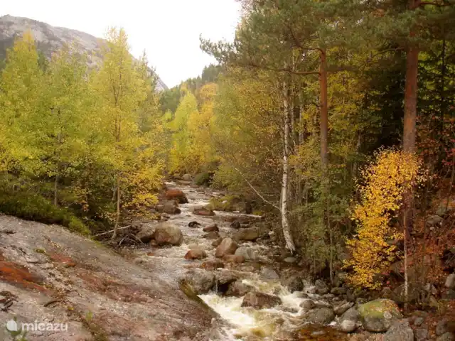 Location de Vacances Norvège, Telemark, Treungen, cabane en bois / lodge - Nisserzicht Belles couleurs d'automne