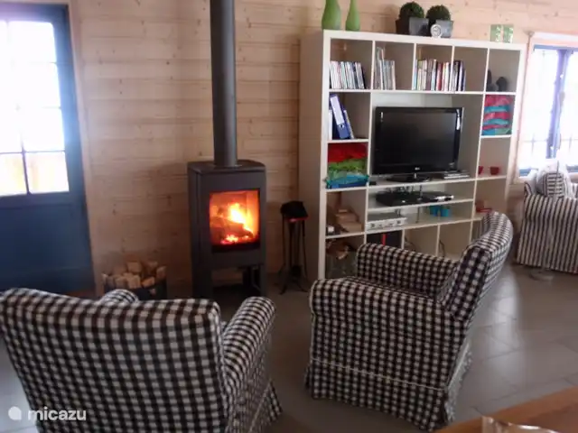 Location de Vacances Norvège, Telemark, Treungen, cabane en bois / lodge - Nisserzicht Joli coin salon cosy au coin du feu