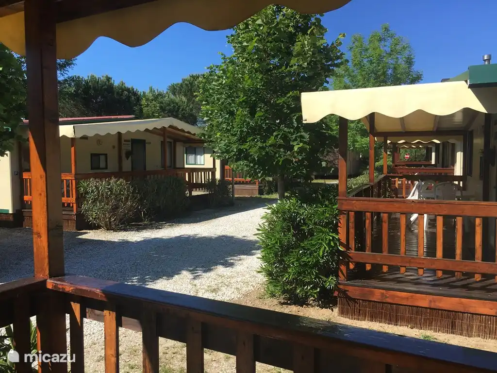 Chalet, nabij, Zee, Pisa, Lucca