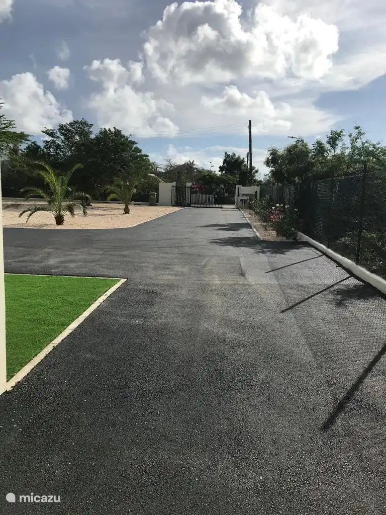 Vorgarten mit Zufahrtsstraße.