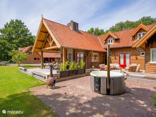Holiday home in Netherlands, Overijssel – manor / castle Country house Het Vlier