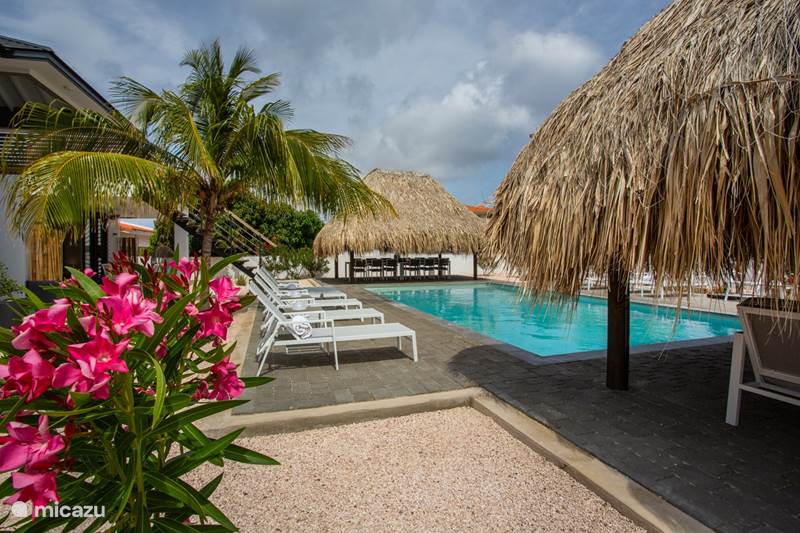 Ferienwohnung Curaçao, Banda Ariba (Ost), Jan Thiel Appartement Luxuswohnung La Hasta Jan Thiel